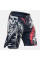 Шорти для ММА Peresvit Phantom Jitser Legend