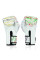 Боксерські рукавиці Fairtex BGV14PT Painter Boxing Gloves White