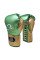 Боксерські рукавиці Rival RS100 Professional Sparring Gloves Green Gold