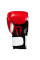 Боксерські рукавиці Title Premium Leather Performance Training Gloves Red