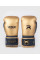 Боксерські рукавиці Rajadamnern x Venum Boxing Gloves Sand