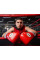 Снарядні рукавиці Pro Mex Professional Bag Gloves V3.0 Red