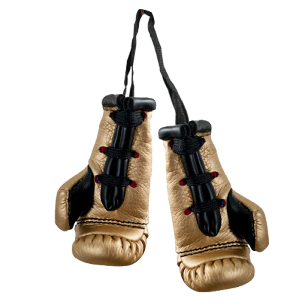 Сувенірні рукавиці Cleto Reyes Minigloves Synthetic
