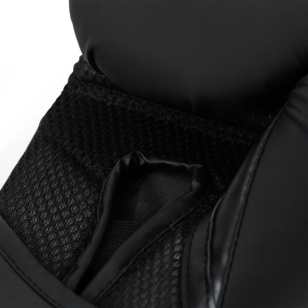 Боксерські рукавиці Everlast Elite 2 Boxing Glove Black Gold
