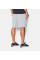Шорти Under Armour Terry Fleece Shorts Gray Heather