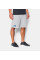 Шорти Under Armour Terry Fleece Shorts Gray Heather