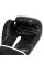 Боксерські рукавиці Everlast Core 2 Boxing Gloves Black