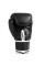 Боксерські рукавиці Everlast Core 2 Boxing Gloves Black