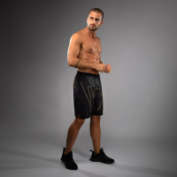 Тренувальні шорти Venum Serpenti Training Shorts Black Silver Gold