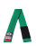 Дитячий пояс для кімоно Peresvit BJJ Belt Kid's Solid Green