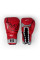 Боксерські рукавиці Rival RS1 Leather Pro Sparring Gloves Red