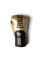 Боксерські рукавиці Everlast Elite 2 Boxing Glove Gold Black