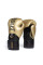 Боксерські рукавиці Everlast Elite 2 Boxing Glove Gold Black
