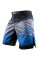 Шорти Hayabusa Kyoudo Prime Performance Shorts Black Blue