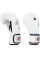 Боксерські рукавиці Fairtex BGV1BR White