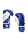 Боксерські рукавиці Peresvit Core Boxing Gloves Blue White