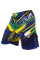 Шорты MMA Venum Brazilian Hero Fightshorts