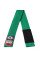 Дитячий пояс для кімоно Peresvit BJJ Belt Kid's Solid Green