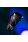 Боксерські рукавиці Hayabusa E1 Boxing Gloves Black Grey