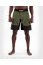Шорти для ММА Venum Light 4.0 Fightshorts Khaki Silver