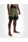 Шорти для ММА Venum Light 4.0 Fightshorts Khaki Silver