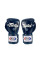 Боксерські рукавиці Fairtex BGV5 Blue