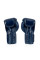 Боксерські рукавиці Fairtex BGV5 Blue