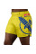 Шорти для MMA Hayabusa Mid-Thigh Icon Fight Shorts Yellow Blue