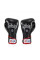 Боксерські рукавиці Fairtex BGV6 Angular Sparring Boxing Gloves Black White Red