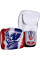 Боксерські рукавиці Fairtex BGV1 Thai Pride