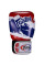 Боксерські рукавиці Fairtex BGV1 Thai Pride