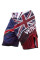 Бійцівські шорти Venum UK Hero Fightshorts