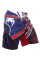 Бійцівські шорти Venum UK Hero Fightshorts