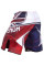 Бійцівські шорти Venum UK Hero Fightshorts
