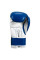 Боксерські рукавиці Title Classic Pro Style Training Gloves 3.0 Blue White
