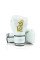 Боксерські рукавиці Fairtex X Glory Kickboxing Competition and Training Gloves BGVG3 White Silver