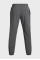 Спортивні штани Under Armour Vibe Woven Jogger Grey