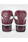 Боксерські рукавички Venum Elite Evo Boxing Gloves - Burgundy Silver