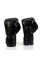 Боксерські рукавиці Fairtex BGV14 Solid Black