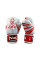 Боксерські рукавиці Twins Fancy FBGVL3-TW5 Red White