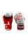 Боксерські рукавиці Twins Fancy FBGVL3-TW5 Red White