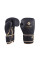 Боксерські рукавиці Peresvit Boxing Gloves Valhalla Black Gold