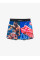 Шорти для ММА MANTO IVO Fight Shorts