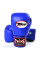 Боксерські рукавиці Twins Velcro BGVL3 Blue