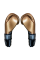 Боксерські рукавиці Cleto Reyes Heros 500 Leather Training Gloves Bronze