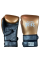 Боксерські рукавиці Cleto Reyes Heros 500 Leather Training Gloves Bronze