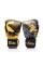 Боксерські рукавиці Fairtex BGV26 Harmony Six with Custom Box