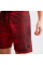 Пляжні шорти Howitzer Viking Boardshort Red
