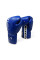 Боксерські рукавиці Rival RFX-Guerrero Pro Fight Gloves HDE-F Blue
