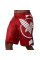 Шорти для MMA Hayabusa Icon MMA Shorts Red White